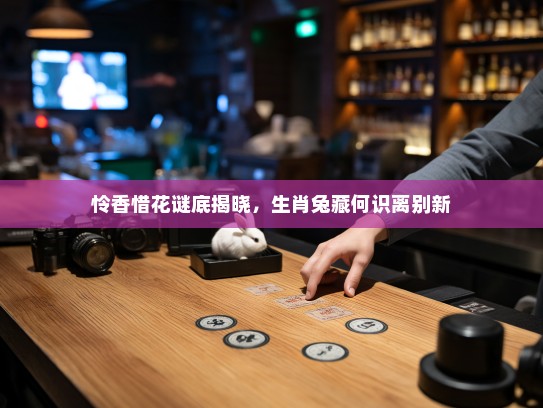 怜香惜花谜底揭晓，生肖兔藏何识离别新