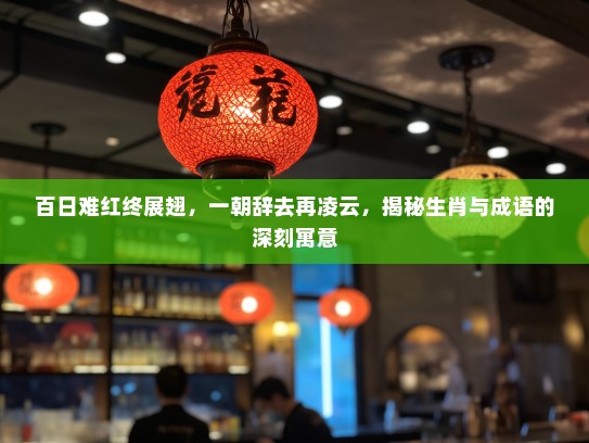 百日难红终展翅，一朝辞去再凌云，揭秘生肖与成语的深刻寓意