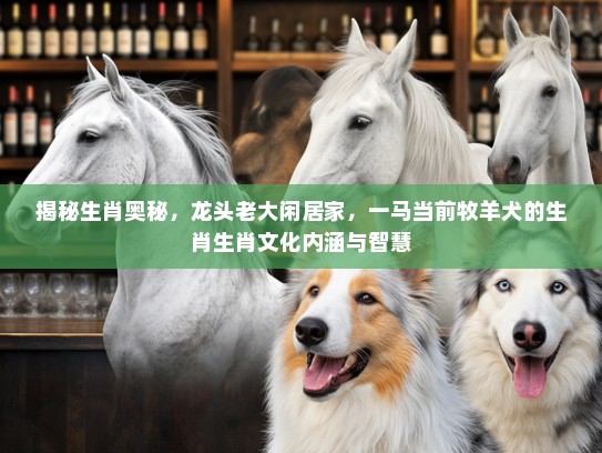 揭秘生肖奥秘，龙头老大闲居家，一马当前牧羊犬的生肖生肖文化内涵与智慧