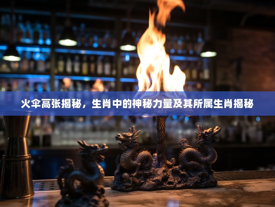 火伞高张揭秘，生肖中的神秘力量及其所属生肖揭秘
