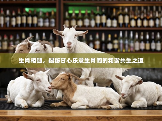 生肖相随，揭秘甘心乐意生肖间的和谐共生之道