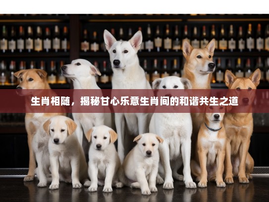 生肖相随，揭秘甘心乐意生肖间的和谐共生之道