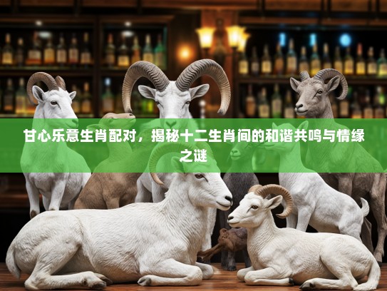 甘心乐意生肖配对，揭秘十二生肖间的和谐共鸣与情缘之谜