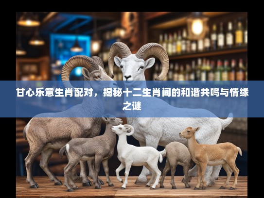 甘心乐意生肖配对，揭秘十二生肖间的和谐共鸣与情缘之谜