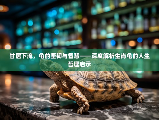 甘居下流，龟的坚韧与智慧——深度解析生肖龟的人生哲理启示
