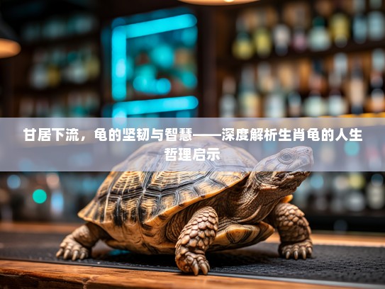 甘居下流，龟的坚韧与智慧——深度解析生肖龟的人生哲理启示