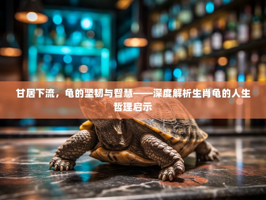 甘居下流，龟的坚韧与智慧——深度解析生肖龟的人生哲理启示
