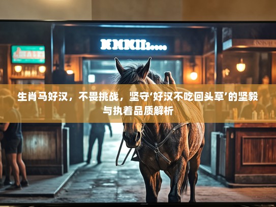 生肖马好汉，不畏挑战，坚守‘好汉不吃回头草’的坚毅与执着品质解析
