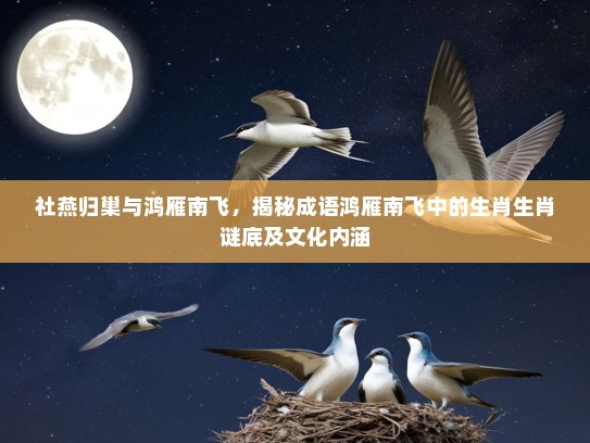 社燕归巢与鸿雁南飞，揭秘成语鸿雁南飞中的生肖生肖谜底及文化内涵