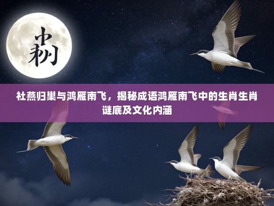 社燕归巢与鸿雁南飞，揭秘成语鸿雁南飞中的生肖生肖谜底及文化内涵