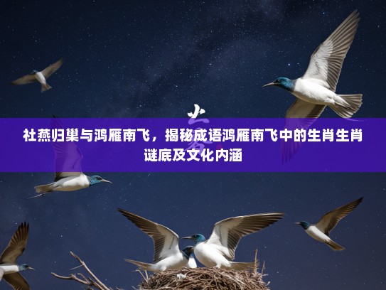社燕归巢与鸿雁南飞，揭秘成语鸿雁南飞中的生肖生肖谜底及文化内涵