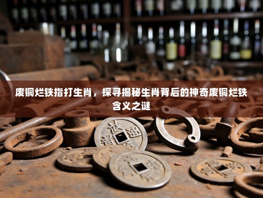废铜烂铁指打生肖，探寻揭秘生肖背后的神奇废铜烂铁含义之谜