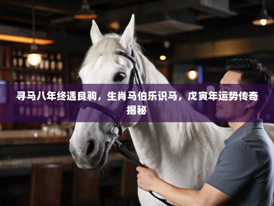 寻马八年终遇良驹，生肖马伯乐识马，戊寅年运势传奇揭秘