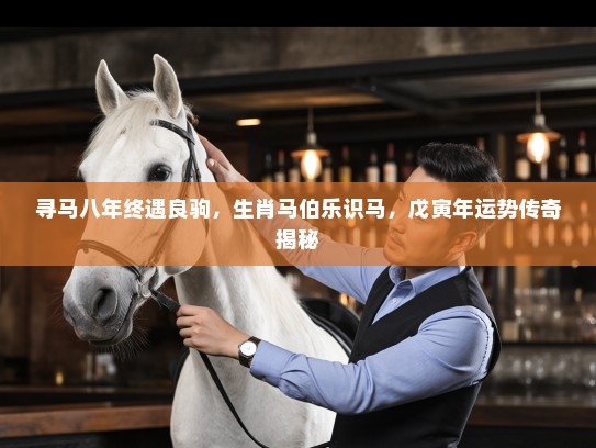 寻马八年终遇良驹，生肖马伯乐识马，戊寅年运势传奇揭秘
