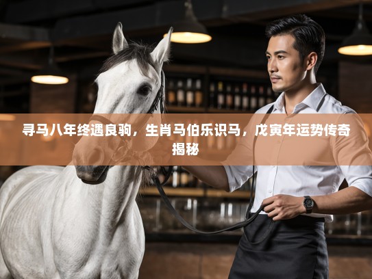 寻马八年终遇良驹，生肖马伯乐识马，戊寅年运势传奇揭秘
